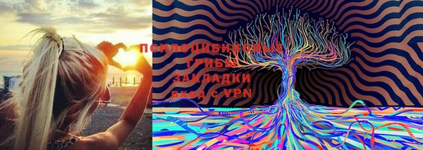 a pvp Балахна